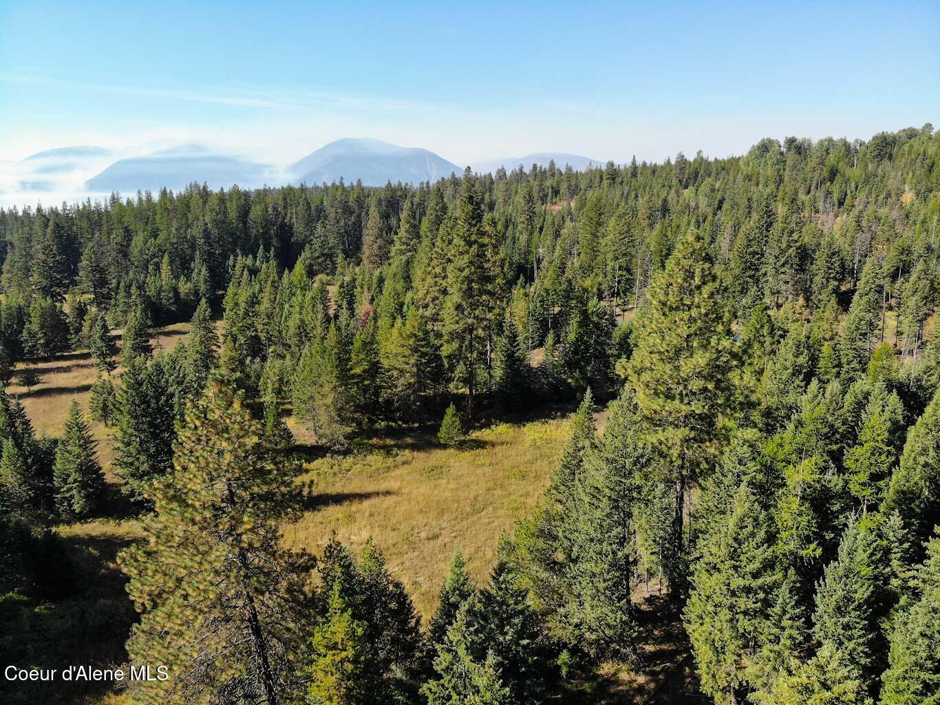 244 N Culvert Ln, Bonners Ferry, Texas image 28