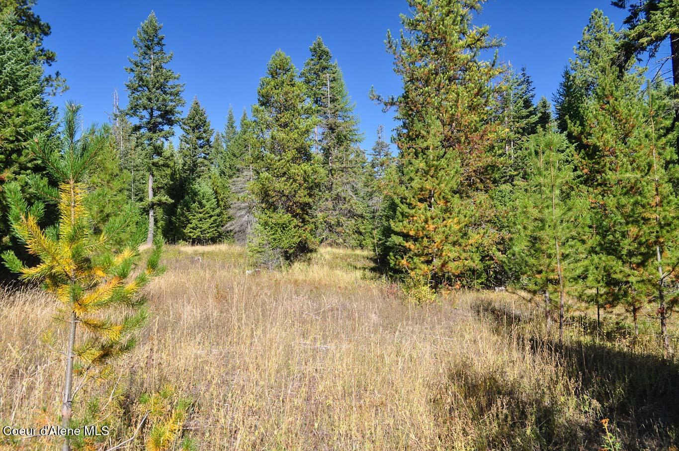 244 N Culvert Ln, Bonners Ferry, Texas image 36