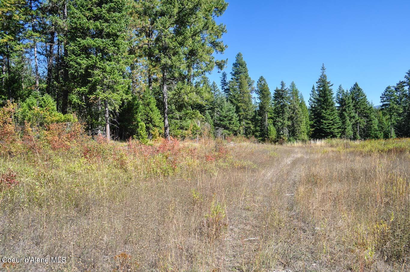 244 N Culvert Ln, Bonners Ferry, Texas image 8