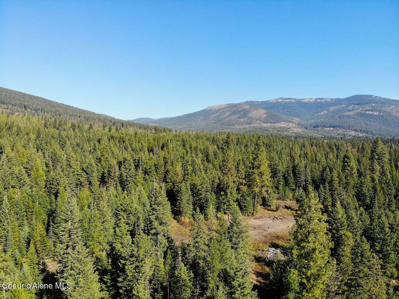 244 N Culvert Ln, Bonners Ferry, Texas image 18