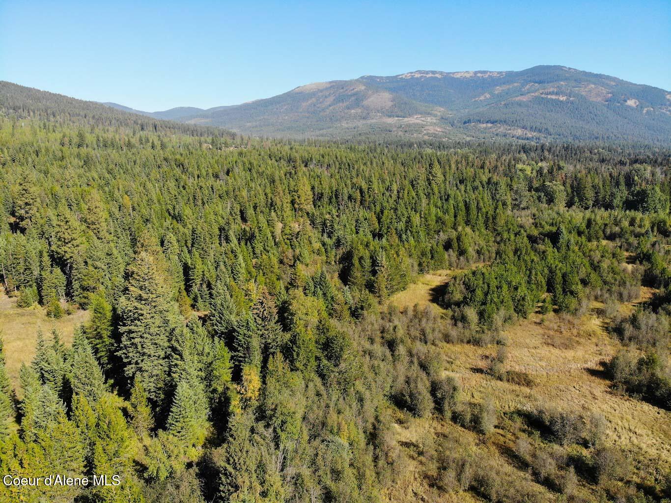 244 N Culvert Ln, Bonners Ferry, Texas image 31