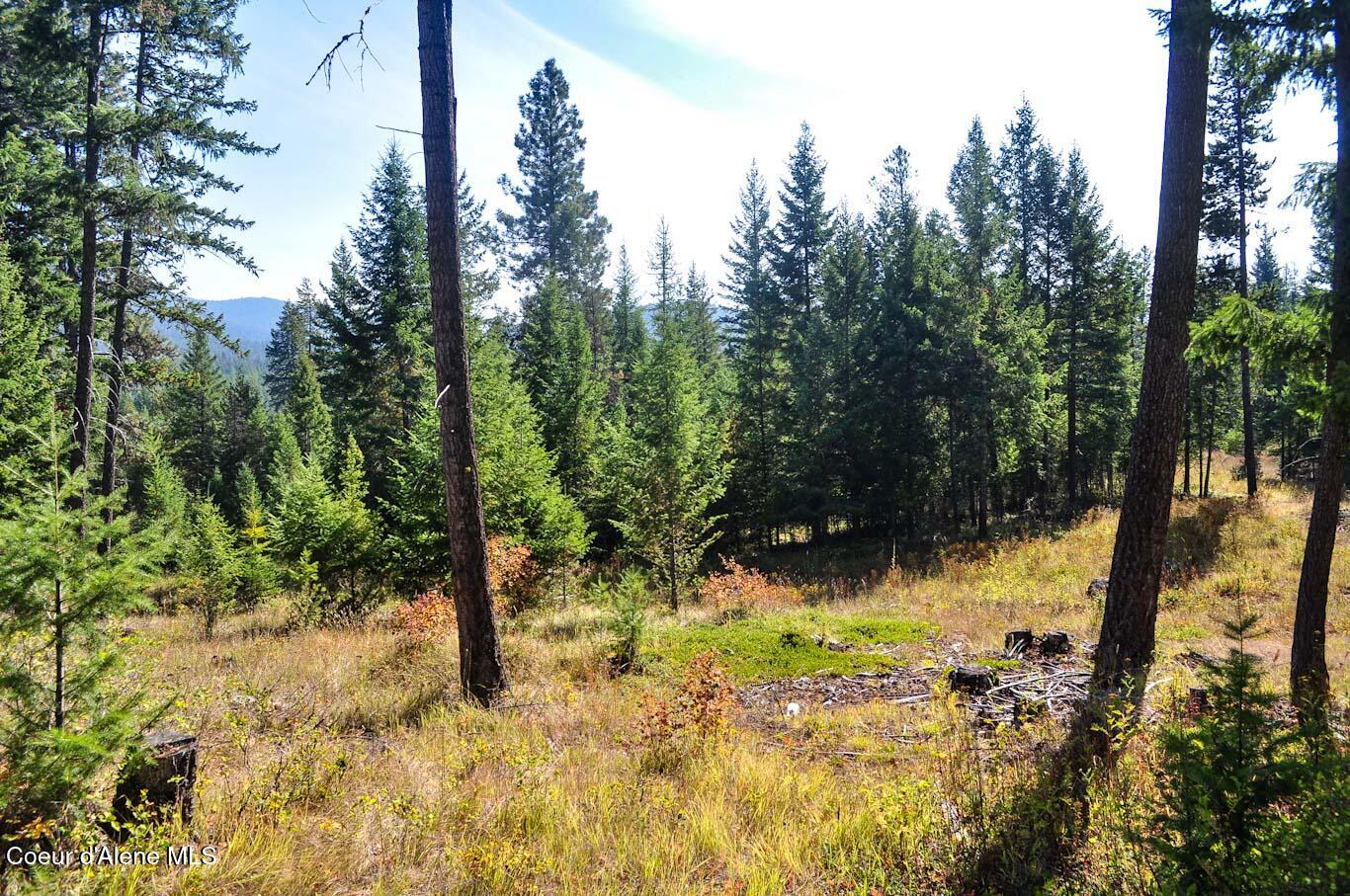 244 N Culvert Ln, Bonners Ferry, Texas image 16