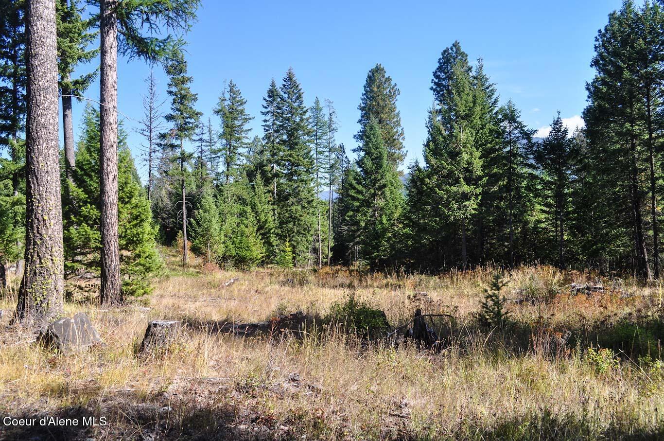 244 N Culvert Ln, Bonners Ferry, Texas image 11