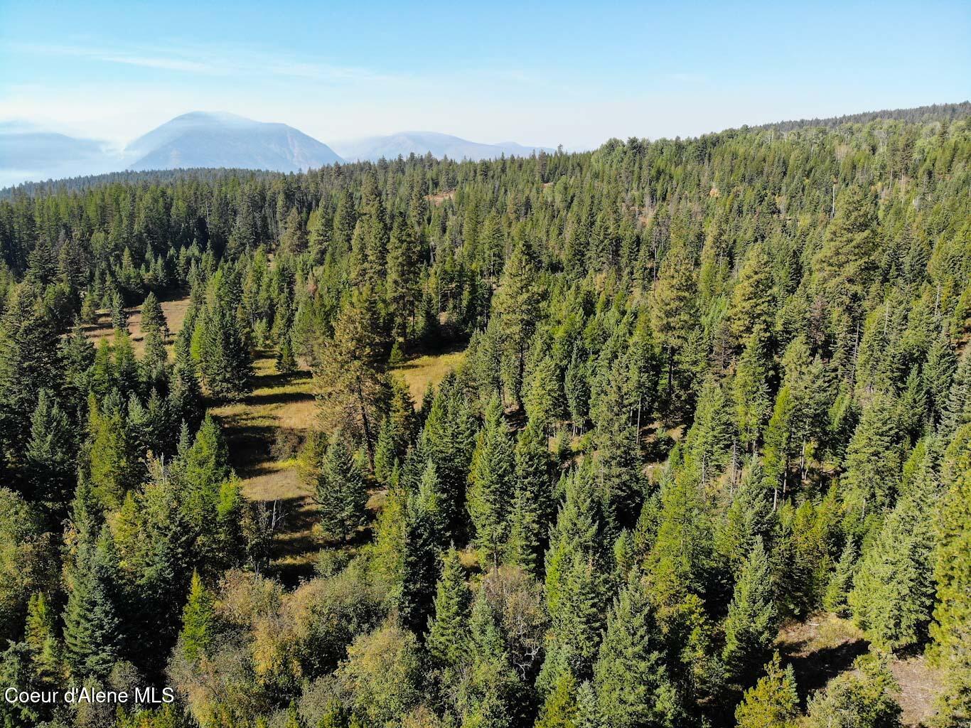 244 N Culvert Ln, Bonners Ferry, Texas image 35