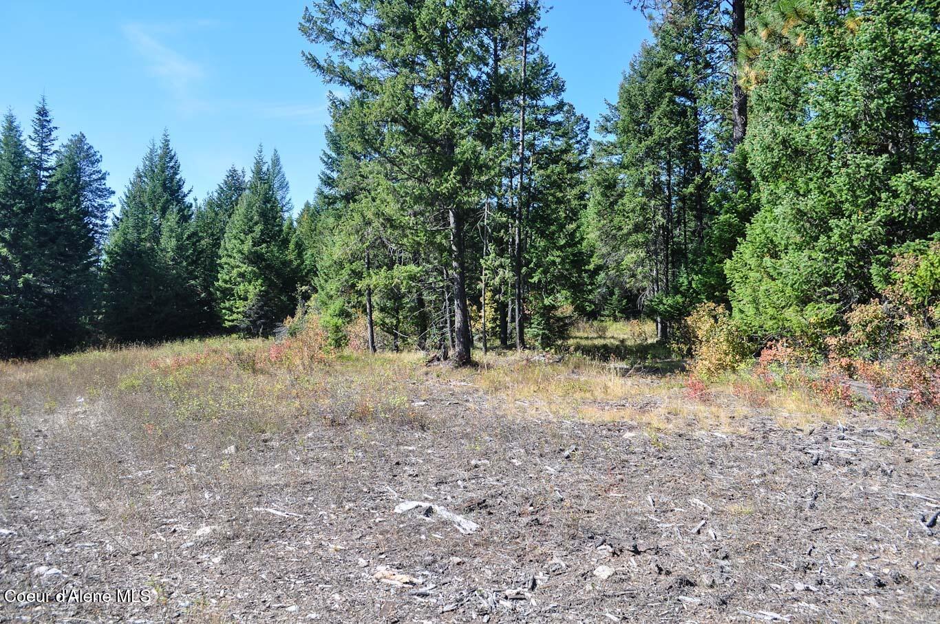 244 N Culvert Ln, Bonners Ferry, Texas image 14