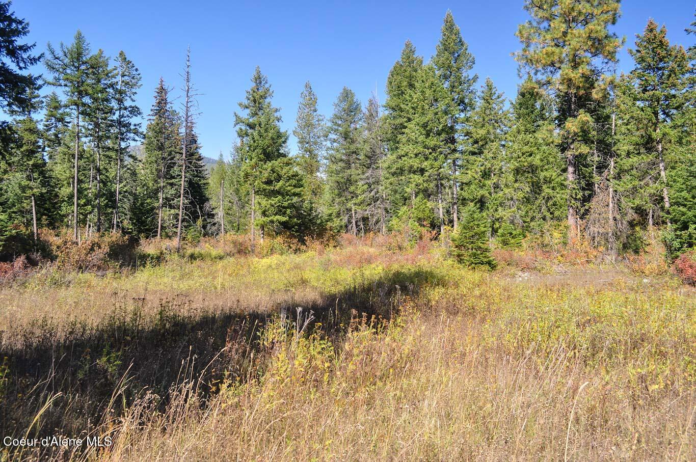 244 N Culvert Ln, Bonners Ferry, Texas image 40