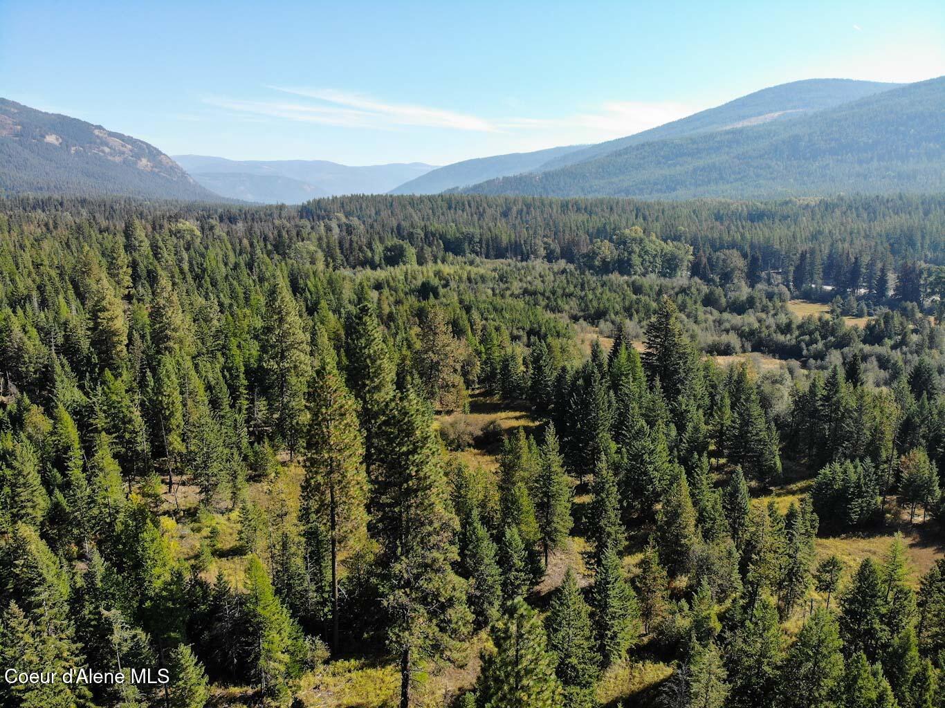 244 N Culvert Ln, Bonners Ferry, Texas image 25