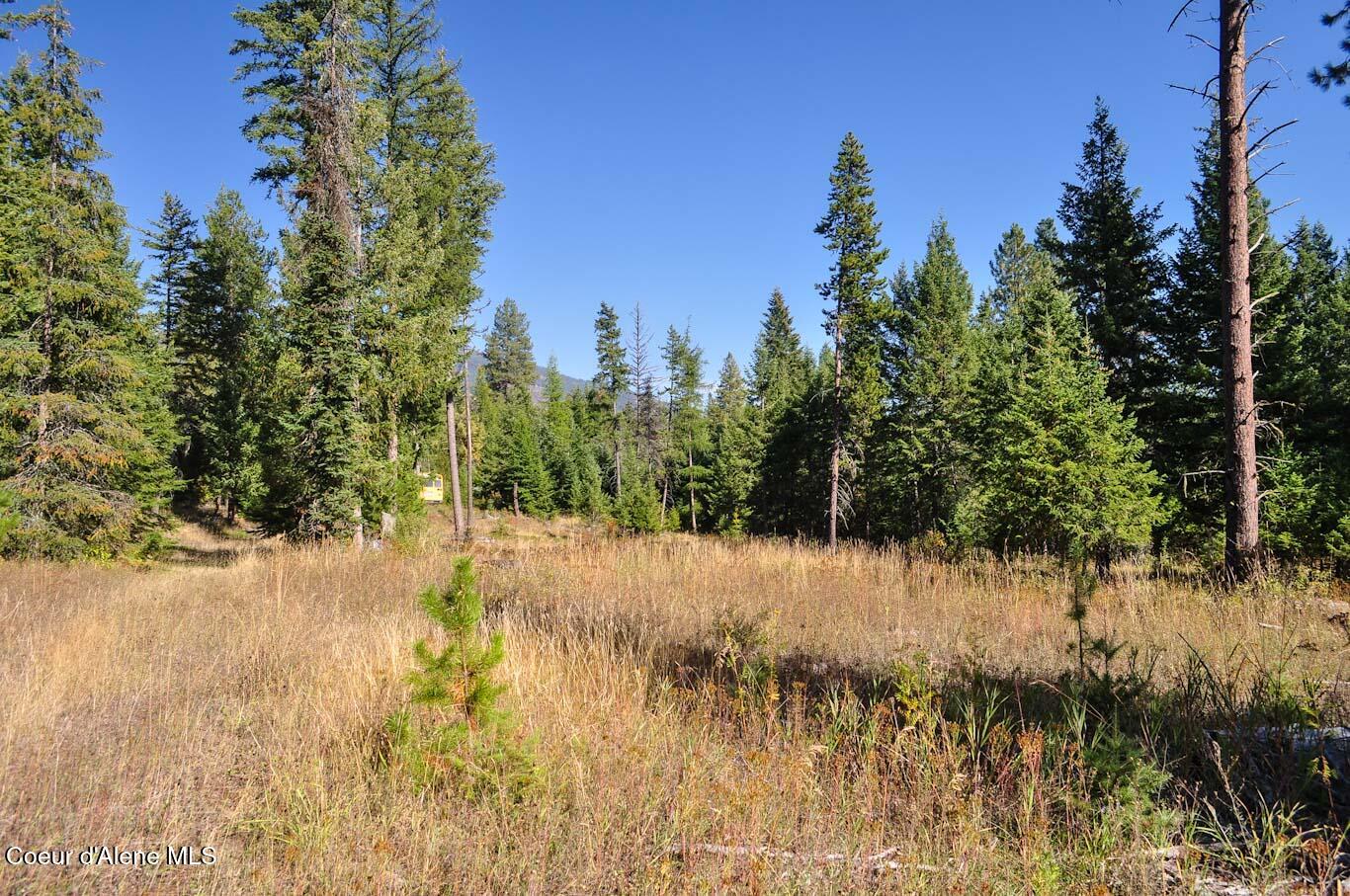 244 N Culvert Ln, Bonners Ferry, Texas image 12