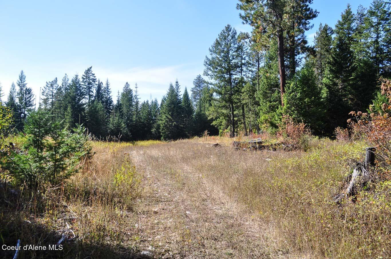 244 N Culvert Ln, Bonners Ferry, Texas image 7