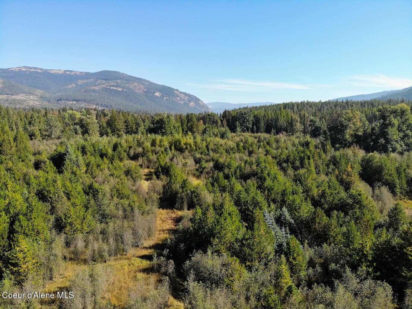 244 N Culvert Ln, Bonners Ferry, Texas image 34