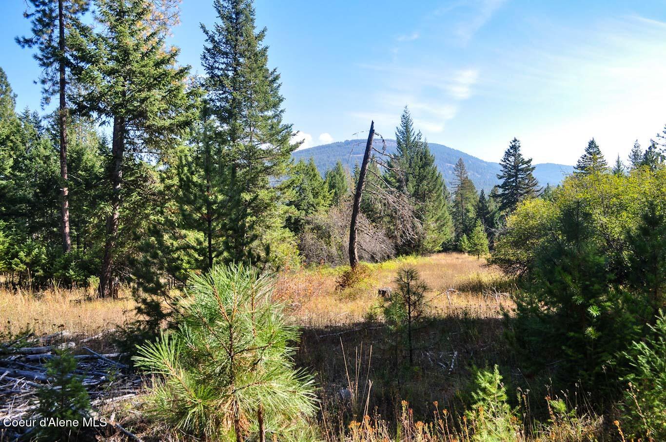 244 N Culvert Ln, Bonners Ferry, Texas image 13