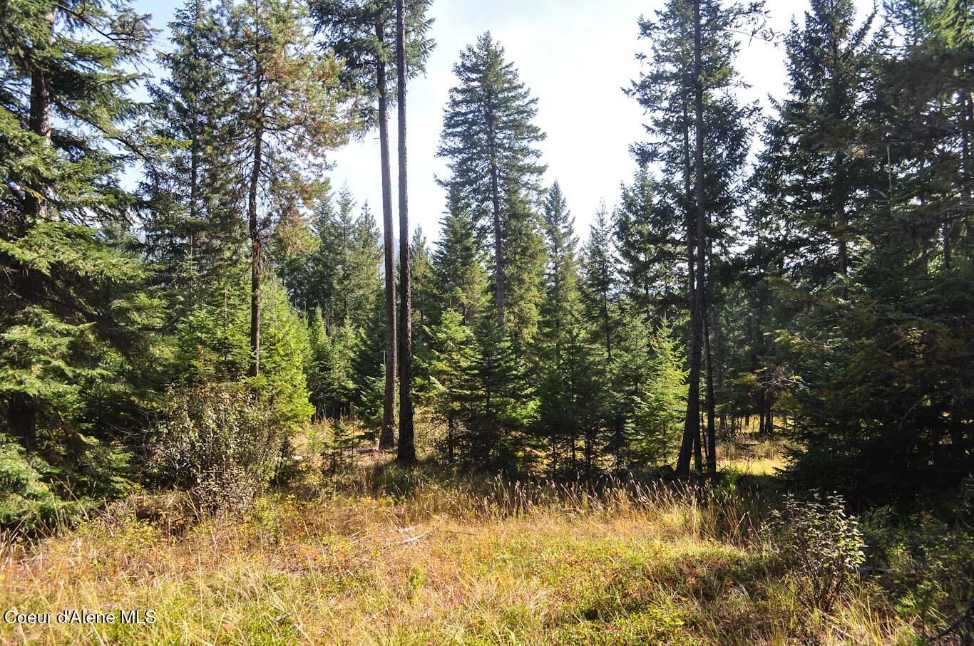 244 N Culvert Ln, Bonners Ferry, Texas image 39