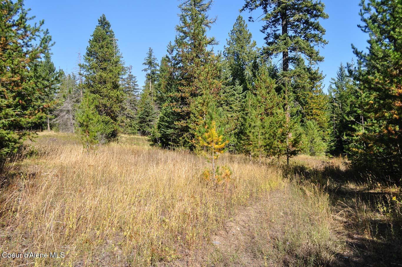 244 N Culvert Ln, Bonners Ferry, Texas image 41