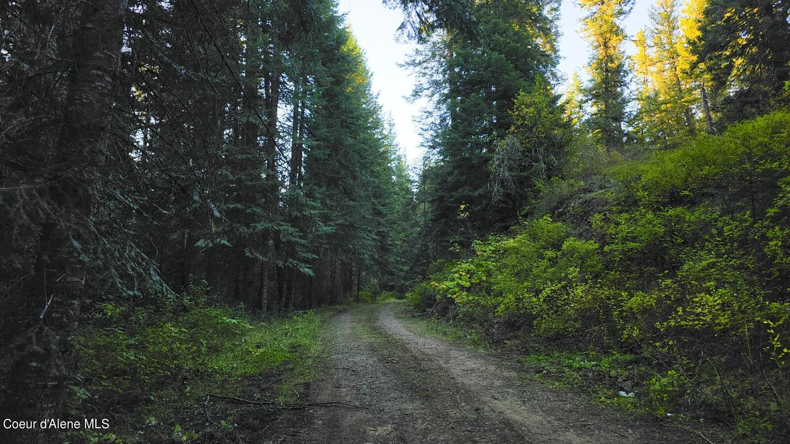 36.5 Acres Of 5856 Lacey Meadows, Weippe, Idaho image 17