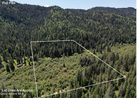 Vacant Land For Sale - NNA Pup Paw Trail Trail<br/> Priest River, ID 83856