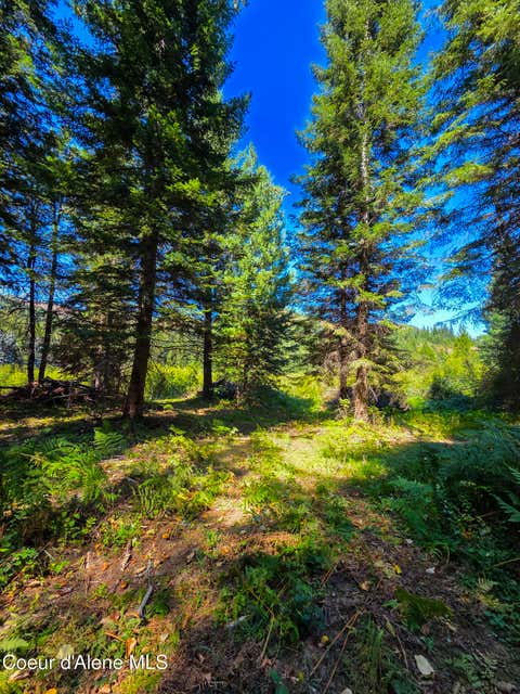 Vacant Land For Sale - NNA Pup Paw Trail Trail<br/> Priest River, ID 83856