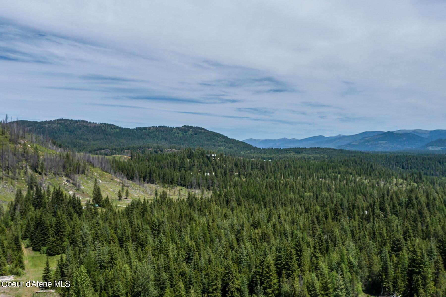 718 Slippery Slope Trail, Priest River, Idaho image 4