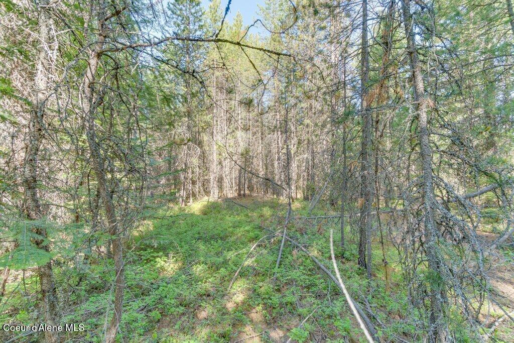 Songbird Way -quail Ridge Est, Spirit Lake, Idaho image 13