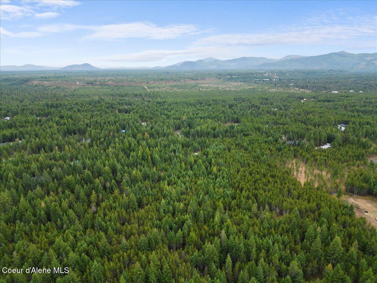 Songbird Way -quail Ridge Est, Spirit Lake, Idaho image 19