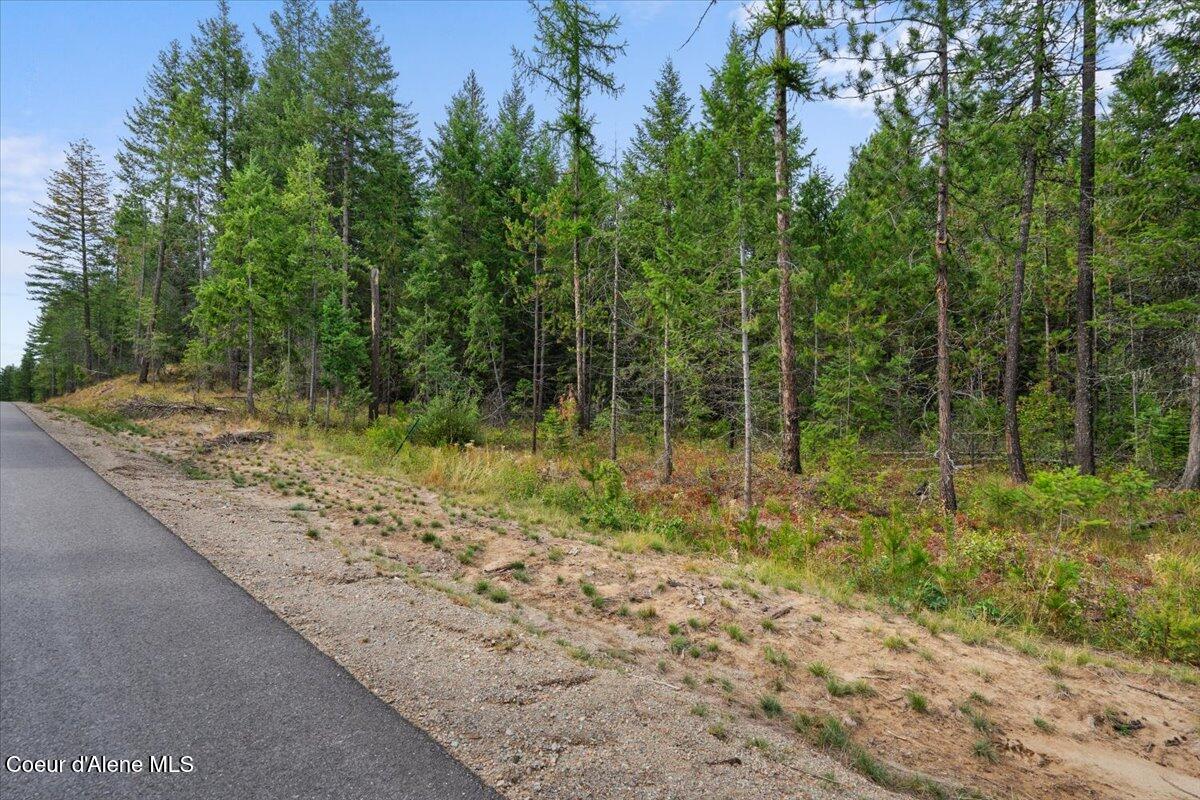 Songbird Way -quail Ridge Est, Spirit Lake, Idaho image 4