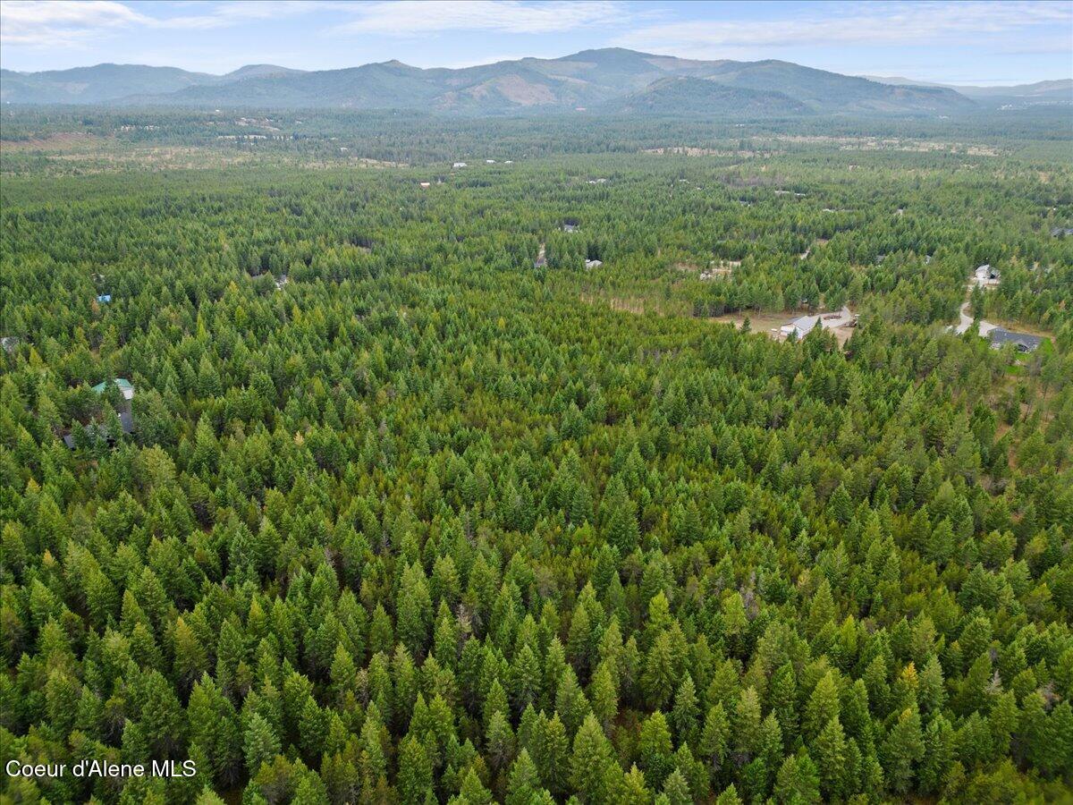 Songbird Way -quail Ridge Est, Spirit Lake, Idaho image 17