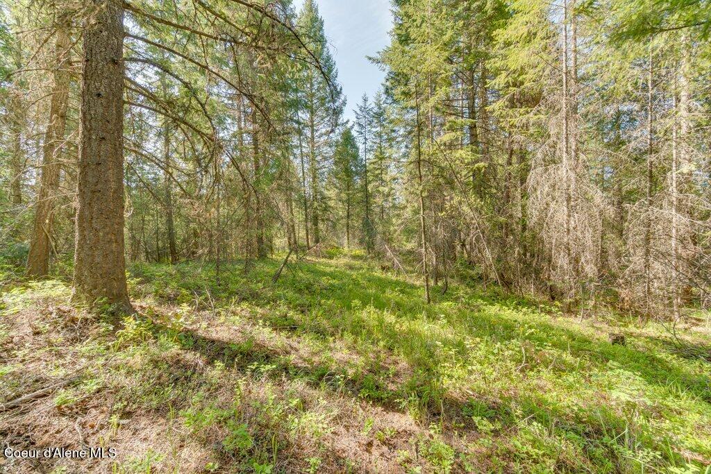 Songbird Way -quail Ridge Est, Spirit Lake, Idaho image 12
