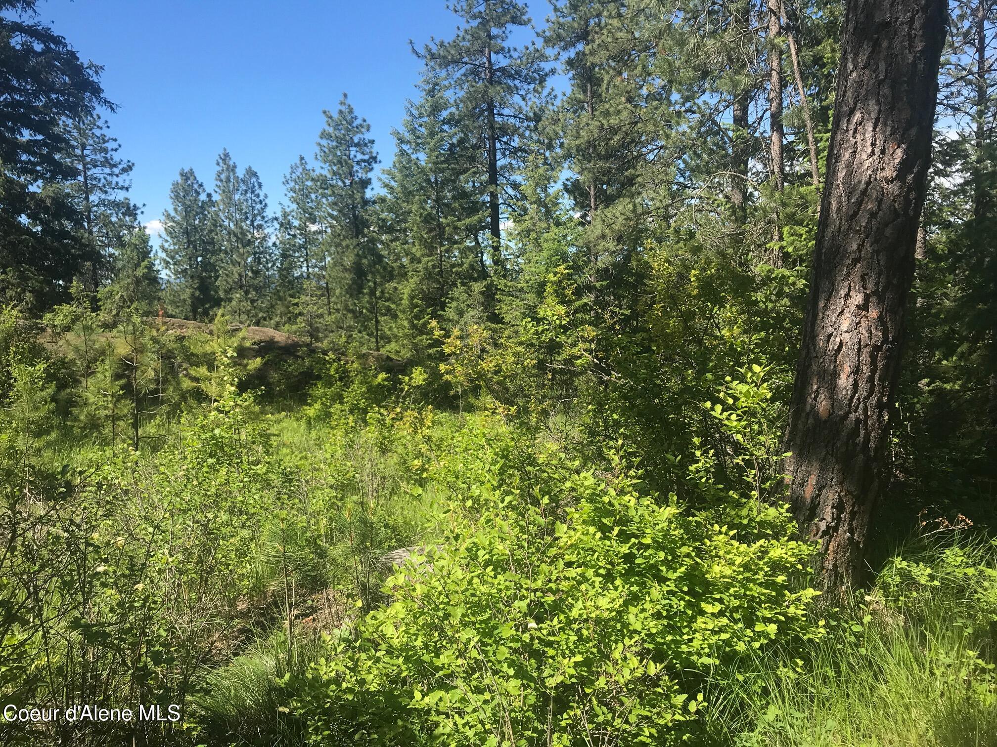 41 Quiet Heights, Athol, Idaho image 37