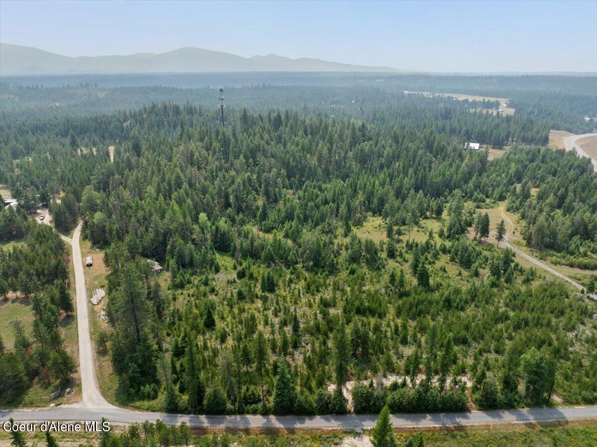 L3 Mara Meadows, Athol, Idaho image 8