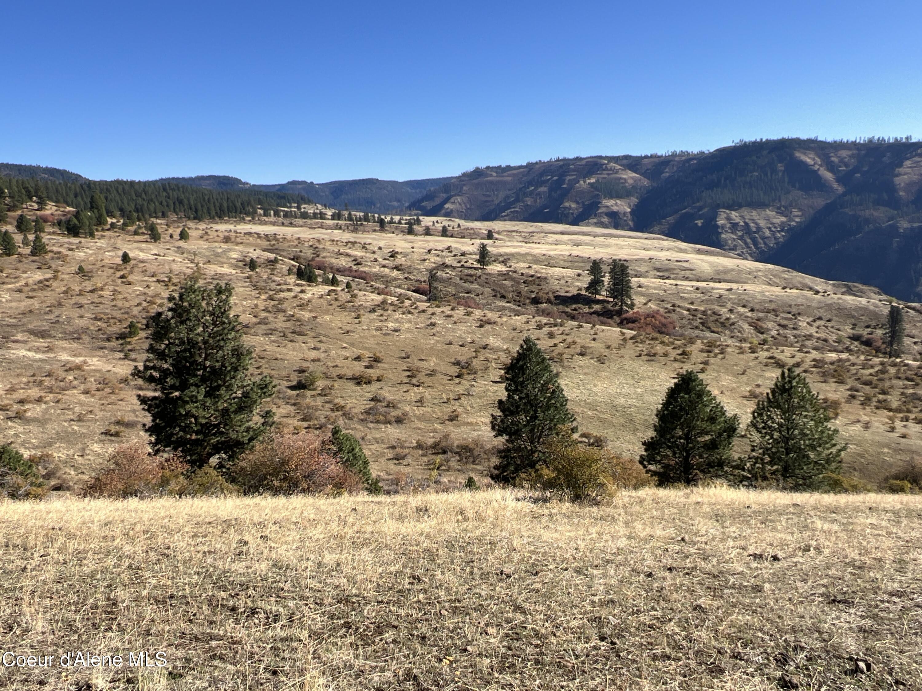 NKA Off Service Flats Road, Grangeville, Idaho image 7