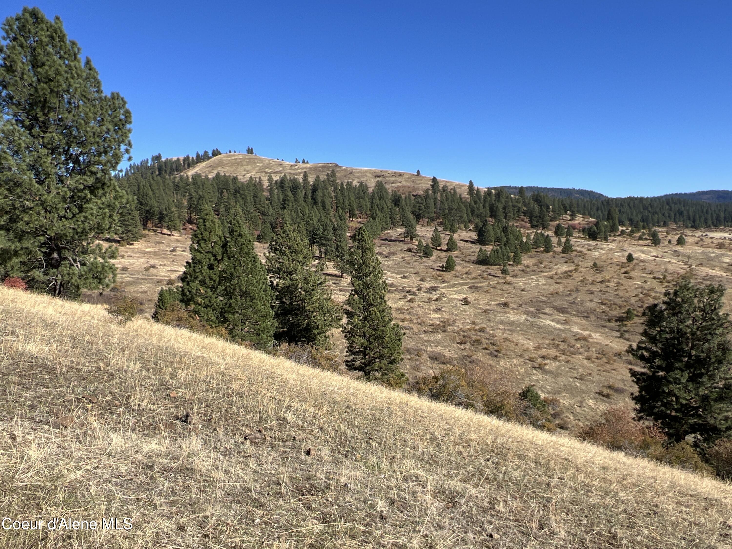 NKA Off Service Flats Road, Grangeville, Idaho image 6