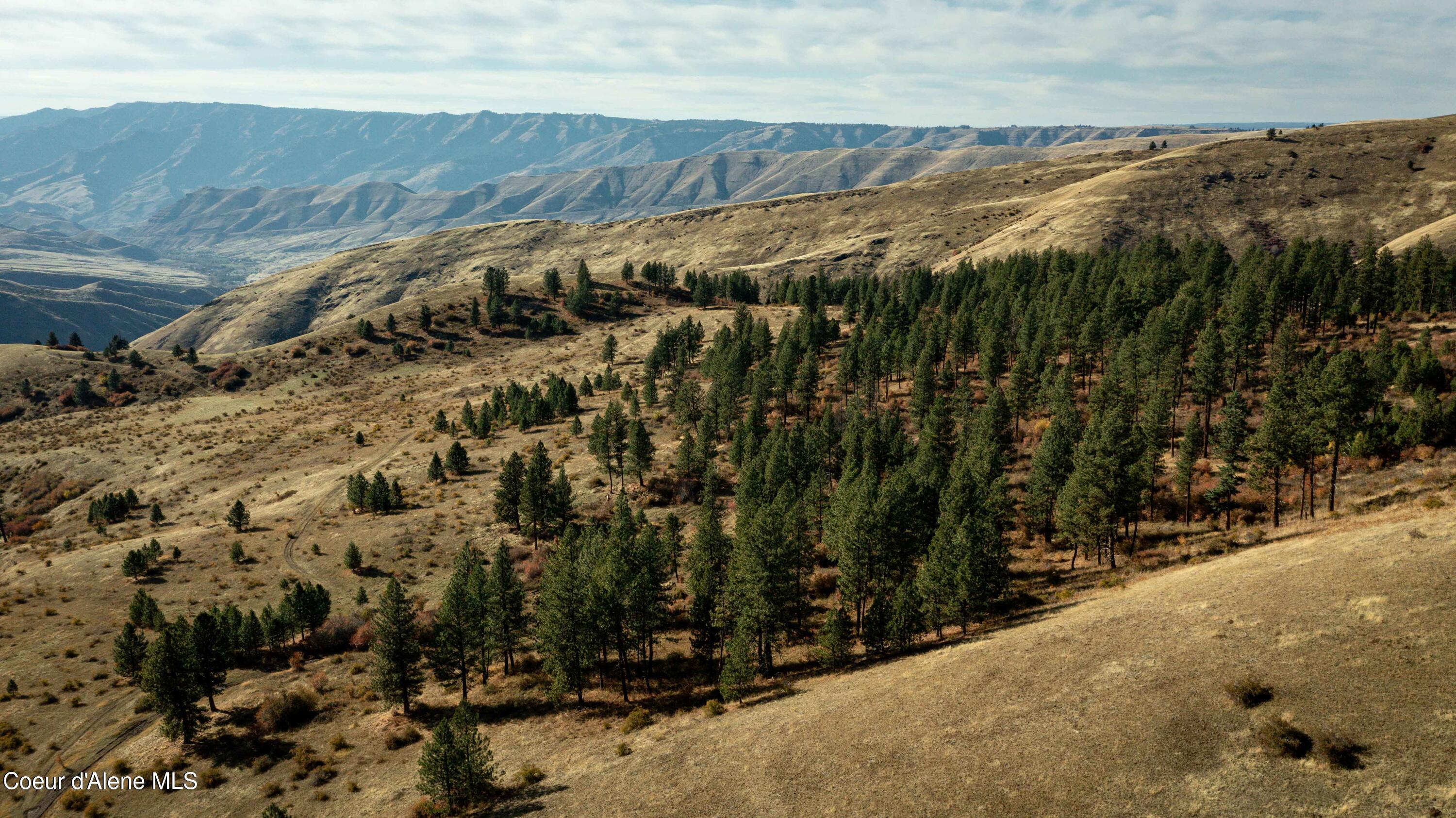 NKA Off Service Flats Road, Grangeville, Idaho image 37