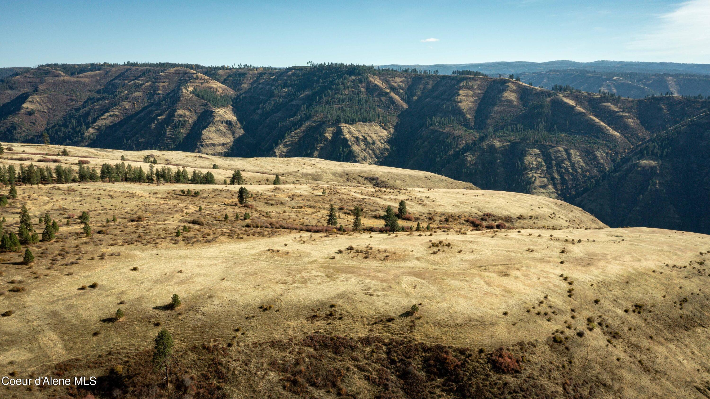 NKA Off Service Flats Road, Grangeville, Idaho image 35