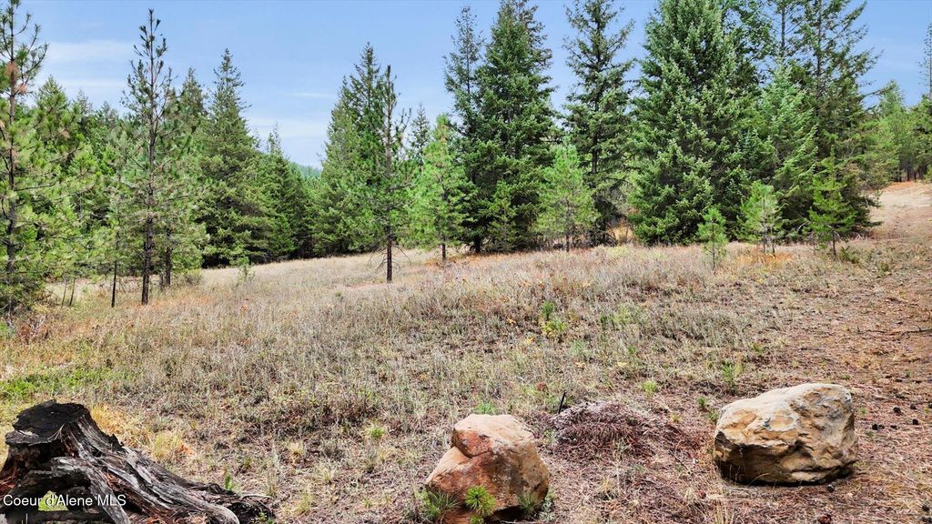 Photo of 1571 Stone Rd, Blanchard, ID 83804 (MLS # 25-10131)