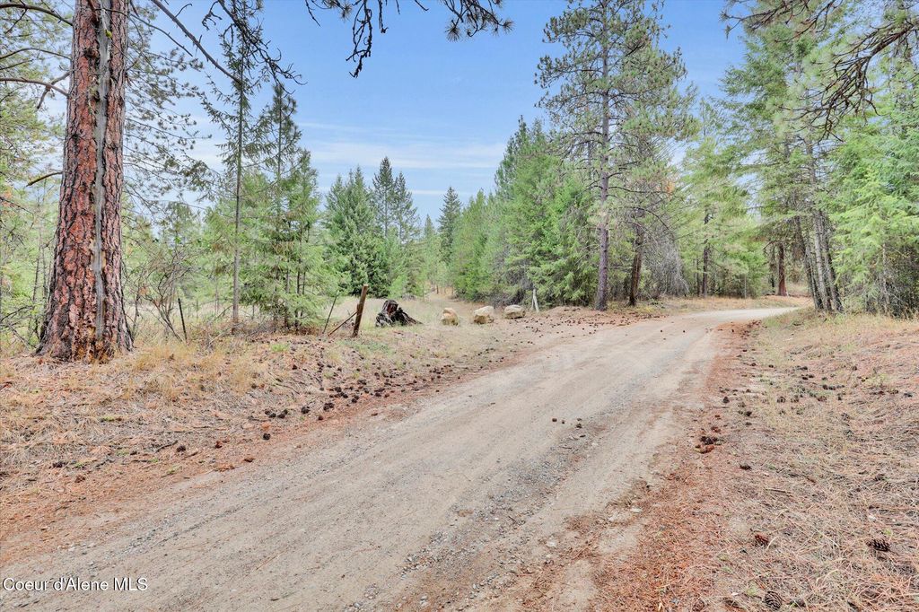 Photo of 1571 Stone Rd, Blanchard, ID 83804 (MLS # 25-10131)