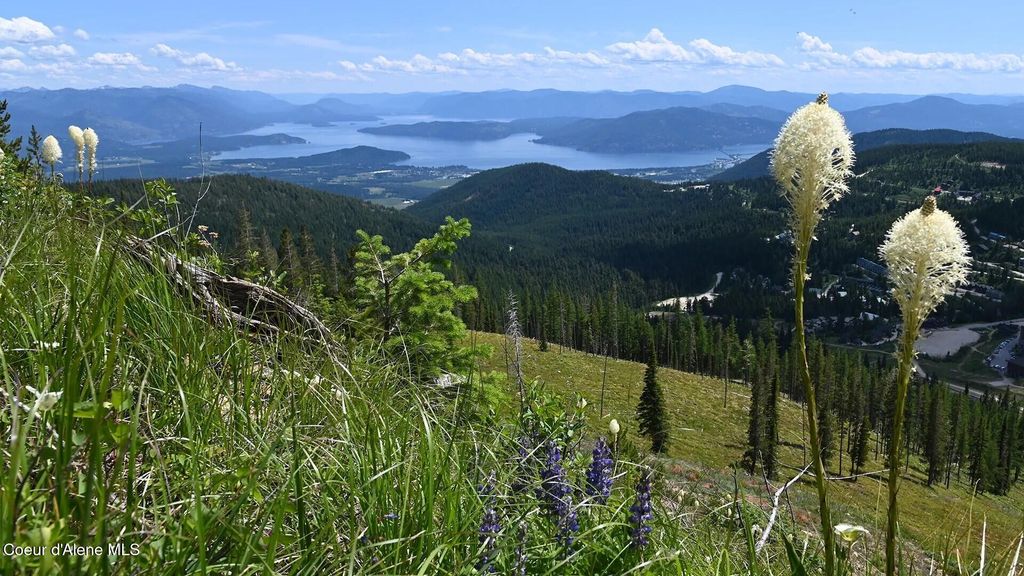 Photo of 226 Mogul Hill Rd Building 3 RD #1, Sandpoint, ID 83864 (MLS # 26-4393)