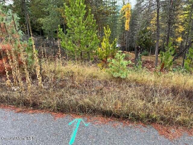 102 Blazing Saddle, Pinehurst, Alaska image 5