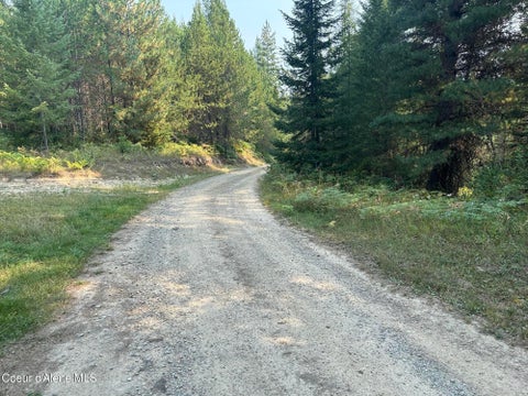 Vacant Land For Sale - NNA Peninsula Loop Loop<br/> Priest River, ID 83856