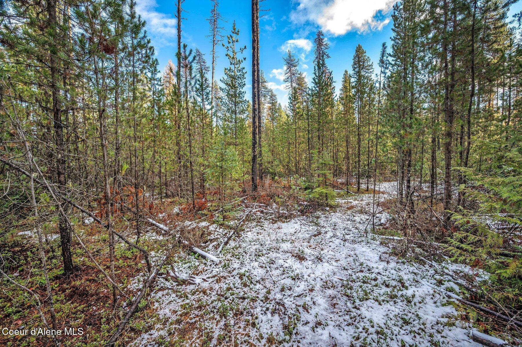 Lot 3 Reeder Bay Road, Nordman, Alaska image 10