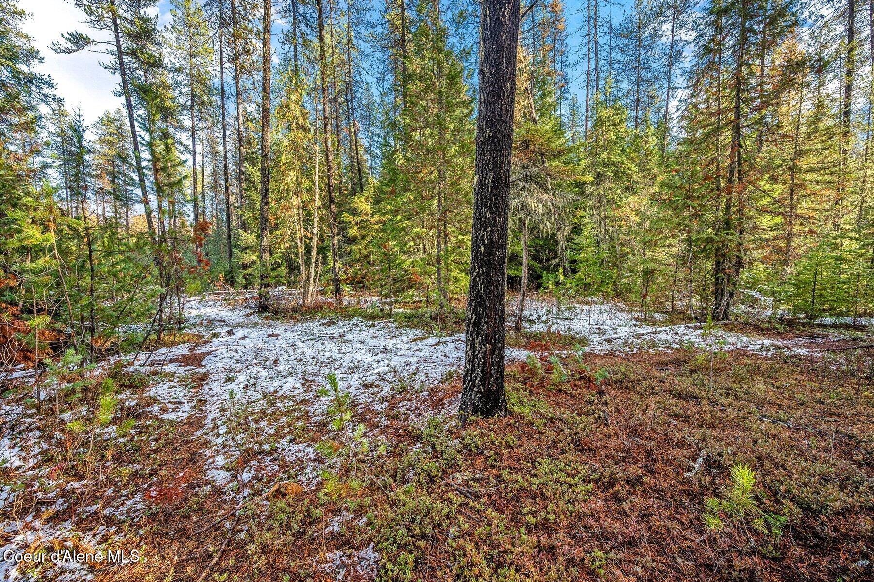 Lot 3 Reeder Bay Road, Nordman, Alaska image 14