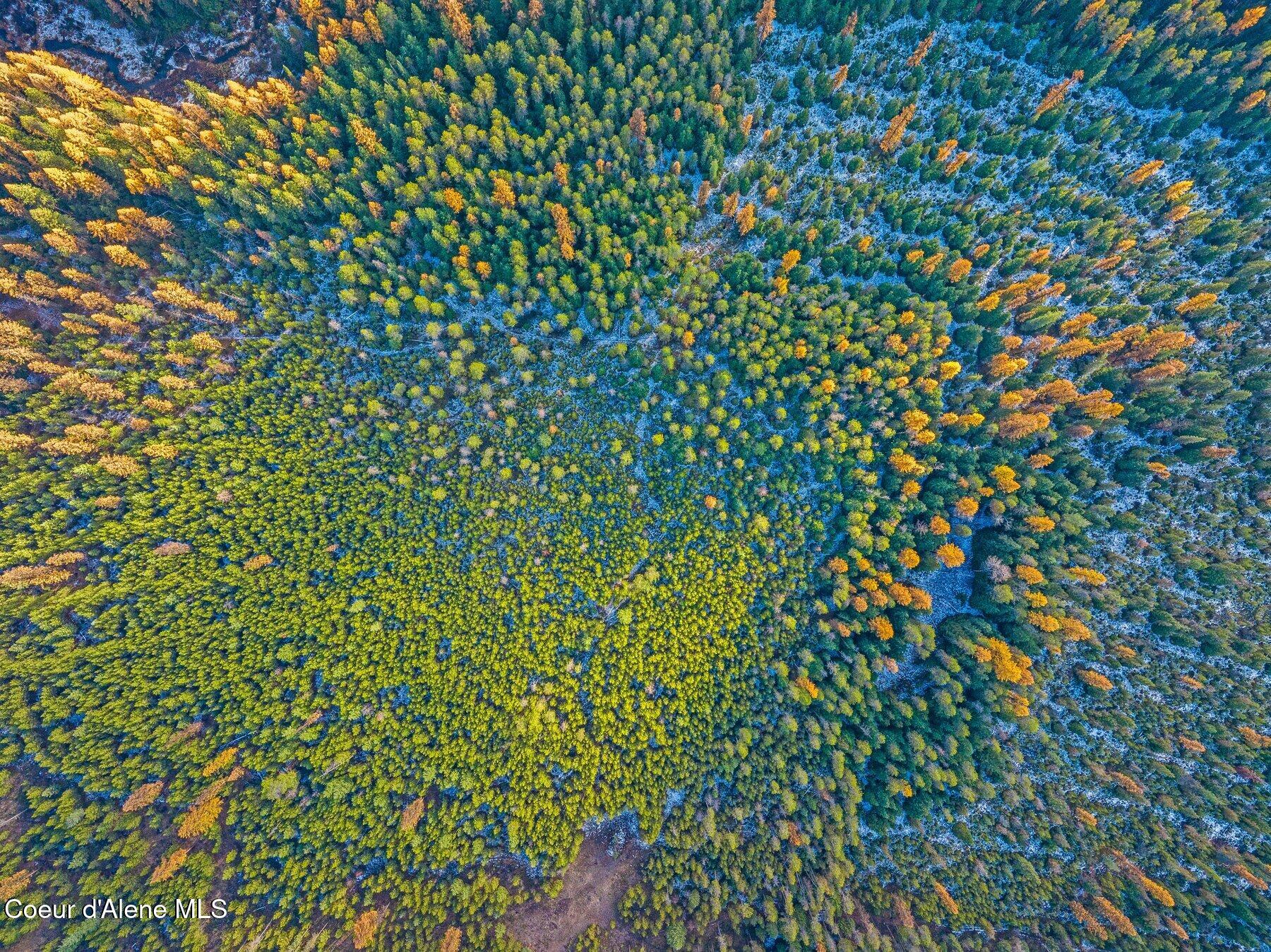 Lot 3 Reeder Bay Road, Nordman, Alaska image 17