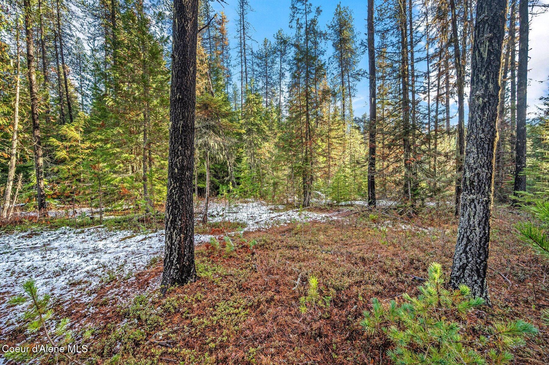 Lot 3 Reeder Bay Road, Nordman, Alaska image 7