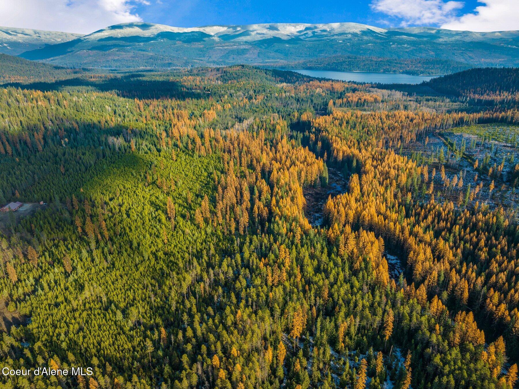Lot 3 Reeder Bay Road, Nordman, Alaska image 23