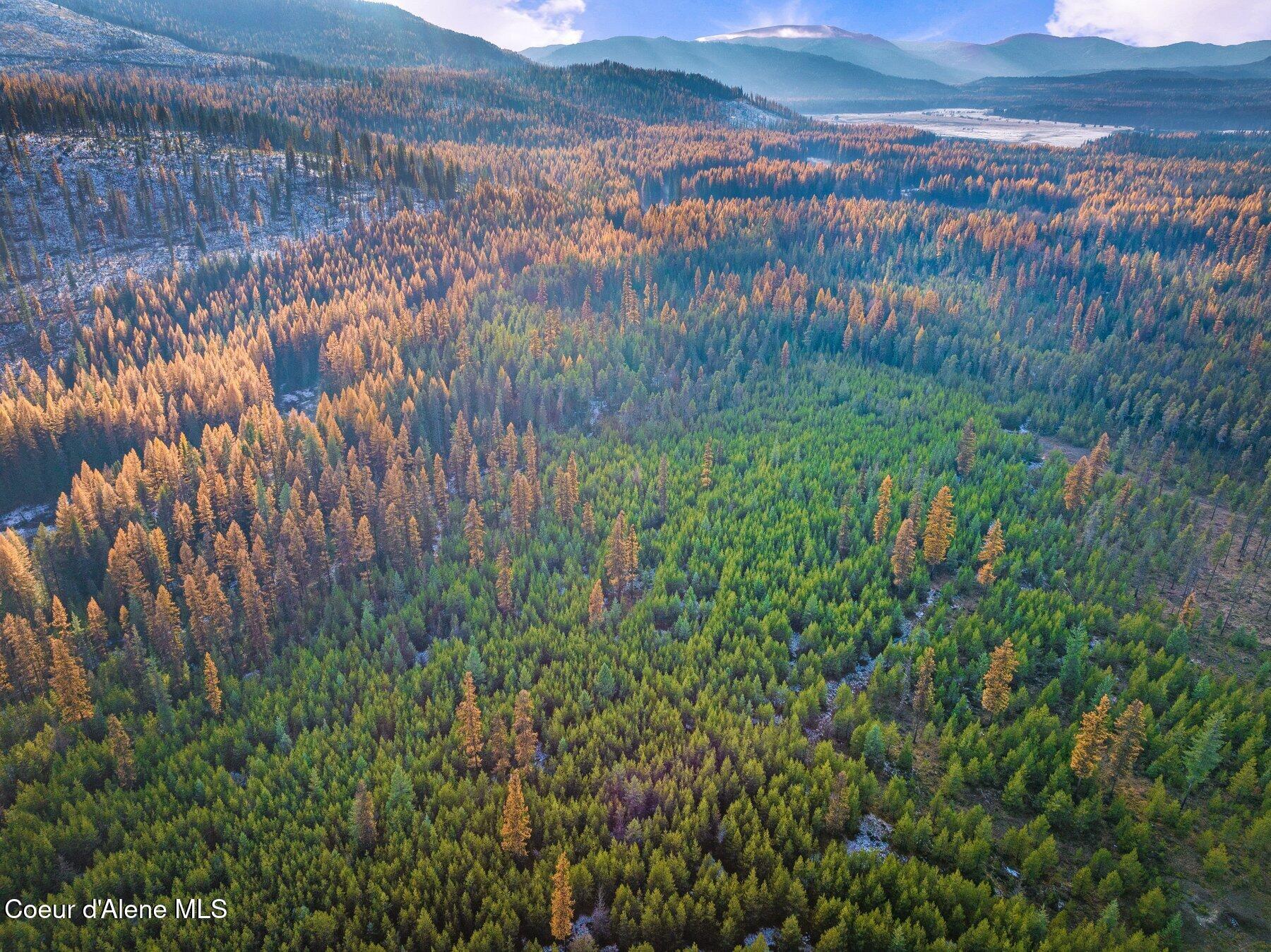 Lot 3 Reeder Bay Road, Nordman, Alaska image 3