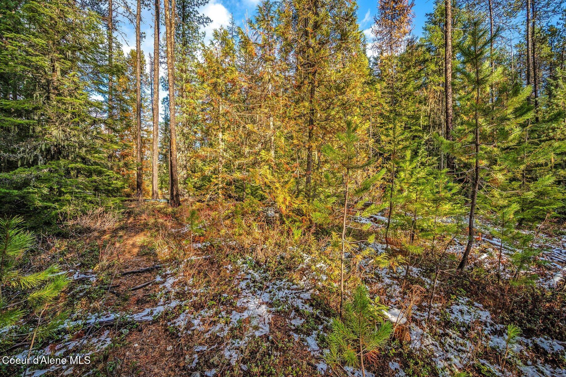 Lot 3 Reeder Bay Road, Nordman, Alaska image 19