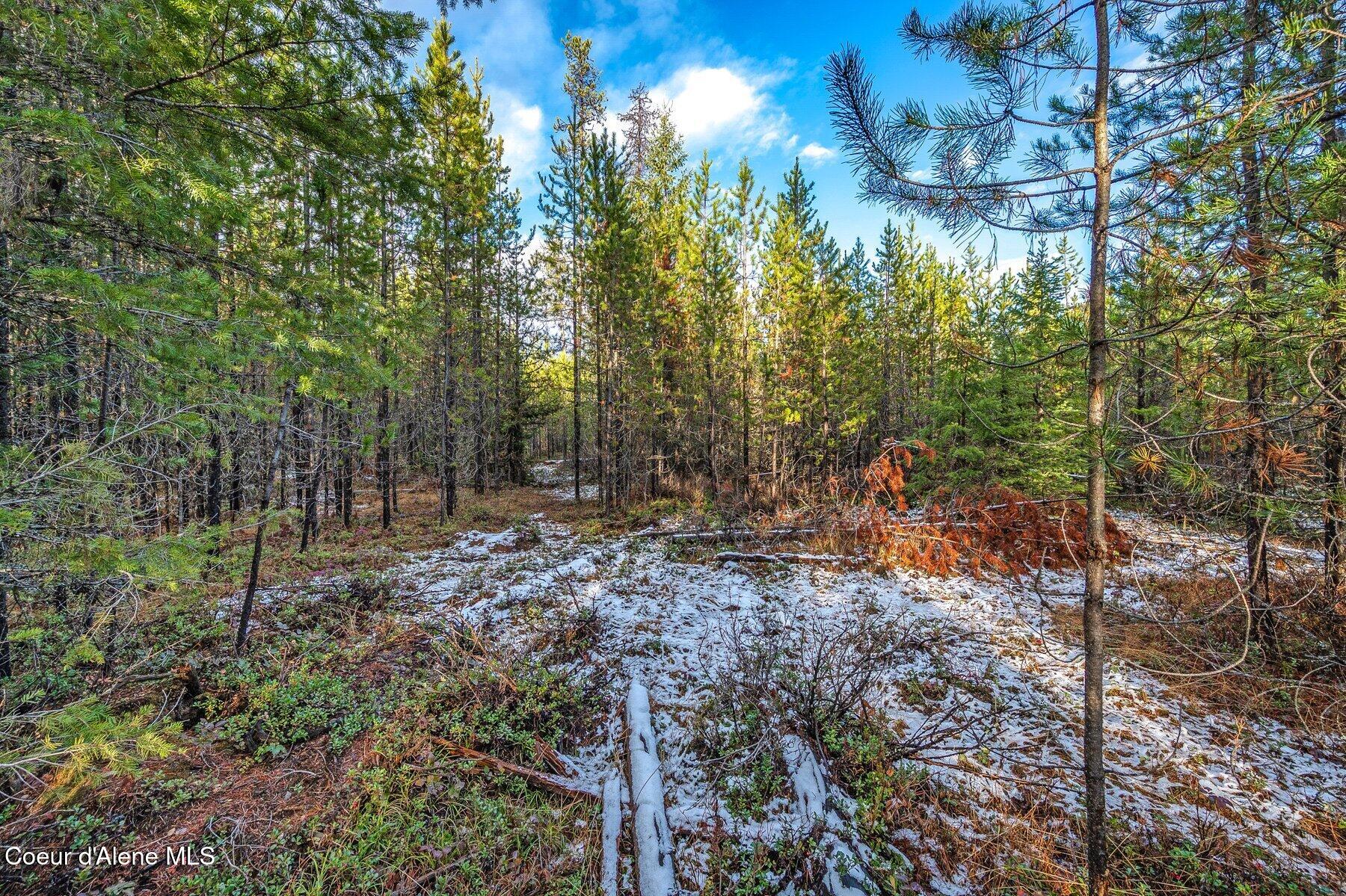 Lot 3 Reeder Bay Road, Nordman, Alaska image 6
