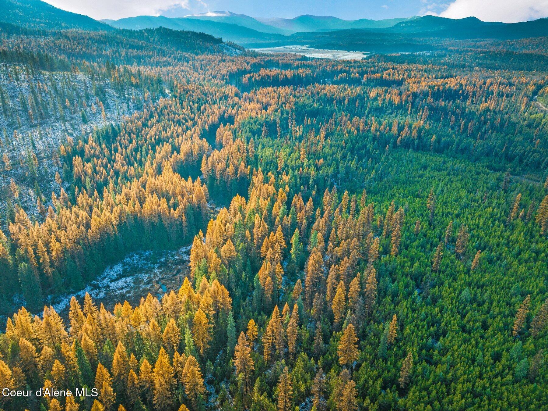 Lot 3 Reeder Bay Road, Nordman, Alaska image 1