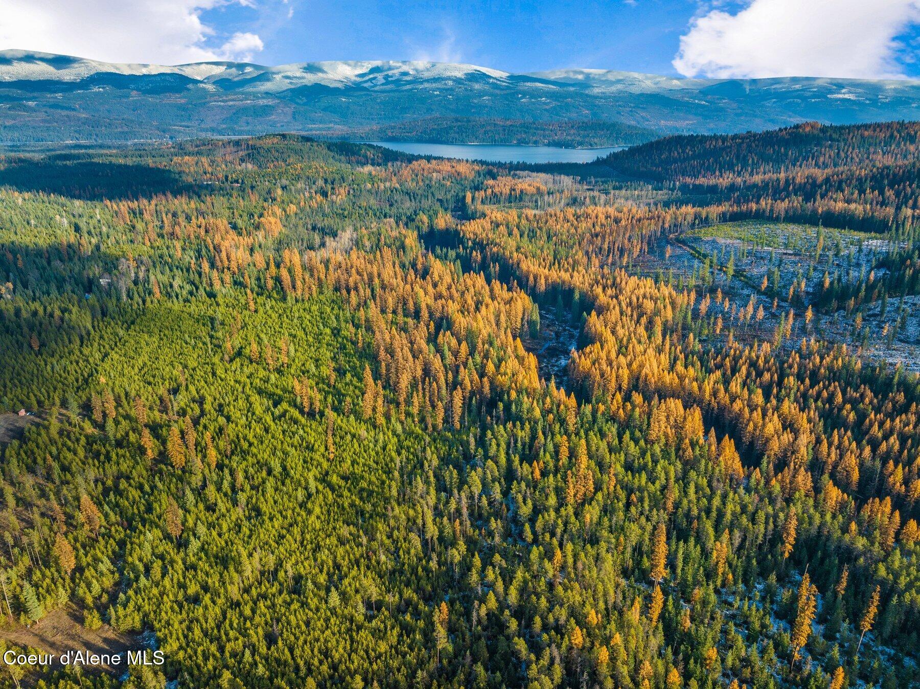 Lot 3 Reeder Bay Road, Nordman, Alaska image 18