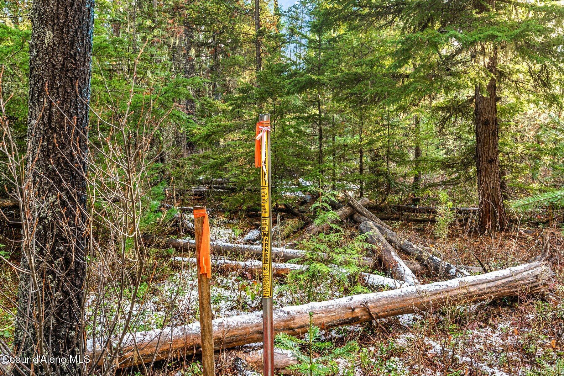 Lot 3 Reeder Bay Road, Nordman, Alaska image 8