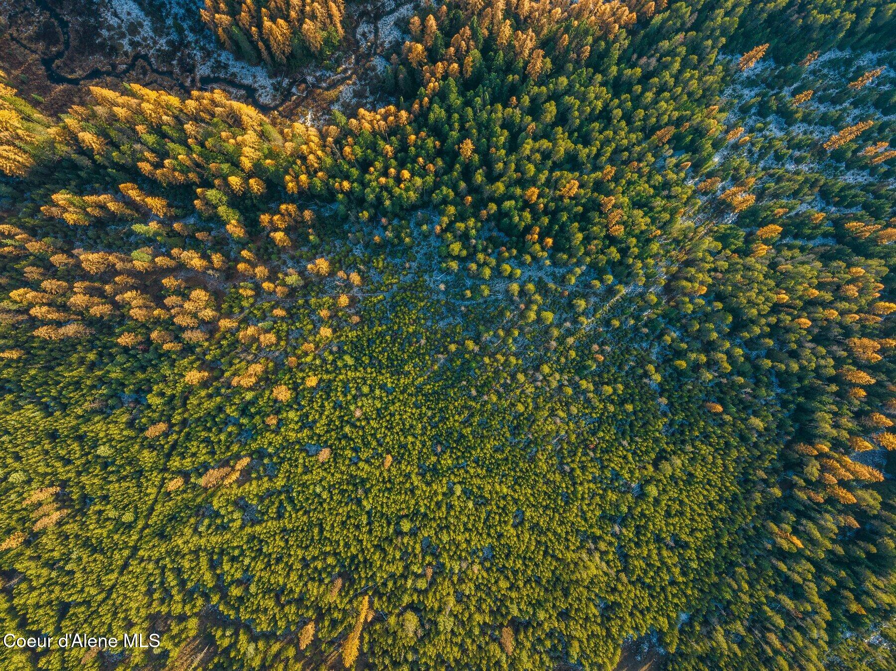 Lot 3 Reeder Bay Road, Nordman, Alaska image 24
