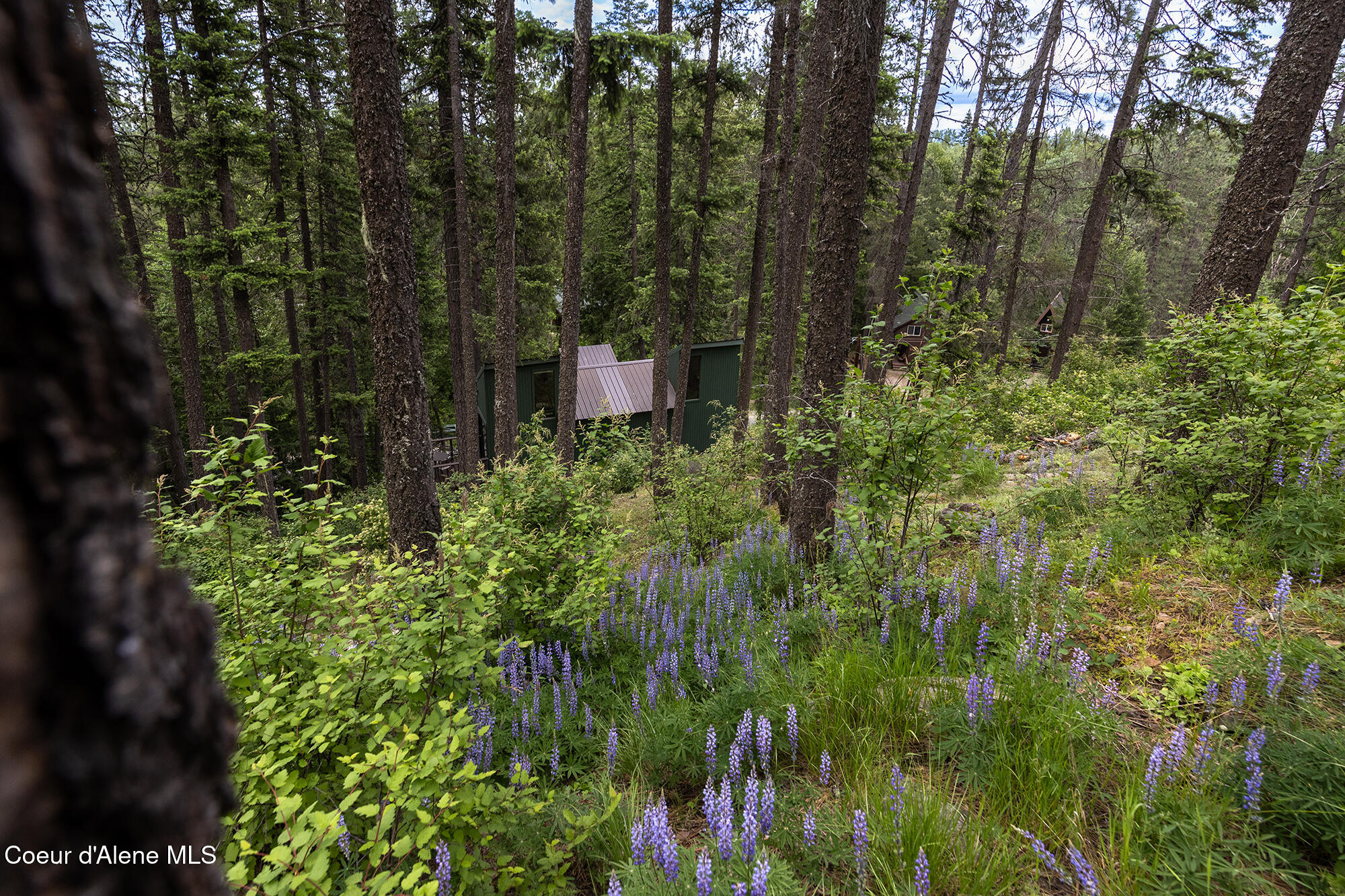 852 S Woodland Dr, Sandpoint, Alaska image 50